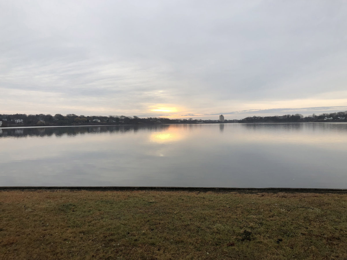 Floating Wetlands For Montauk’s Fort Pond Dan’s Papers