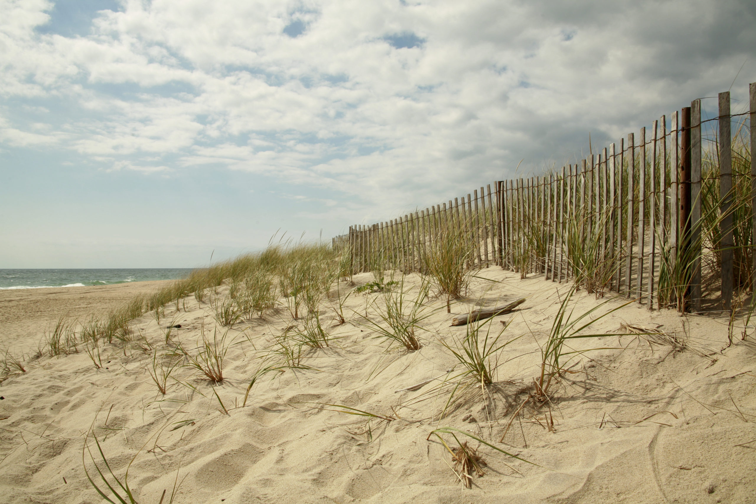 East Hamptons Beach scene with cloudy sky