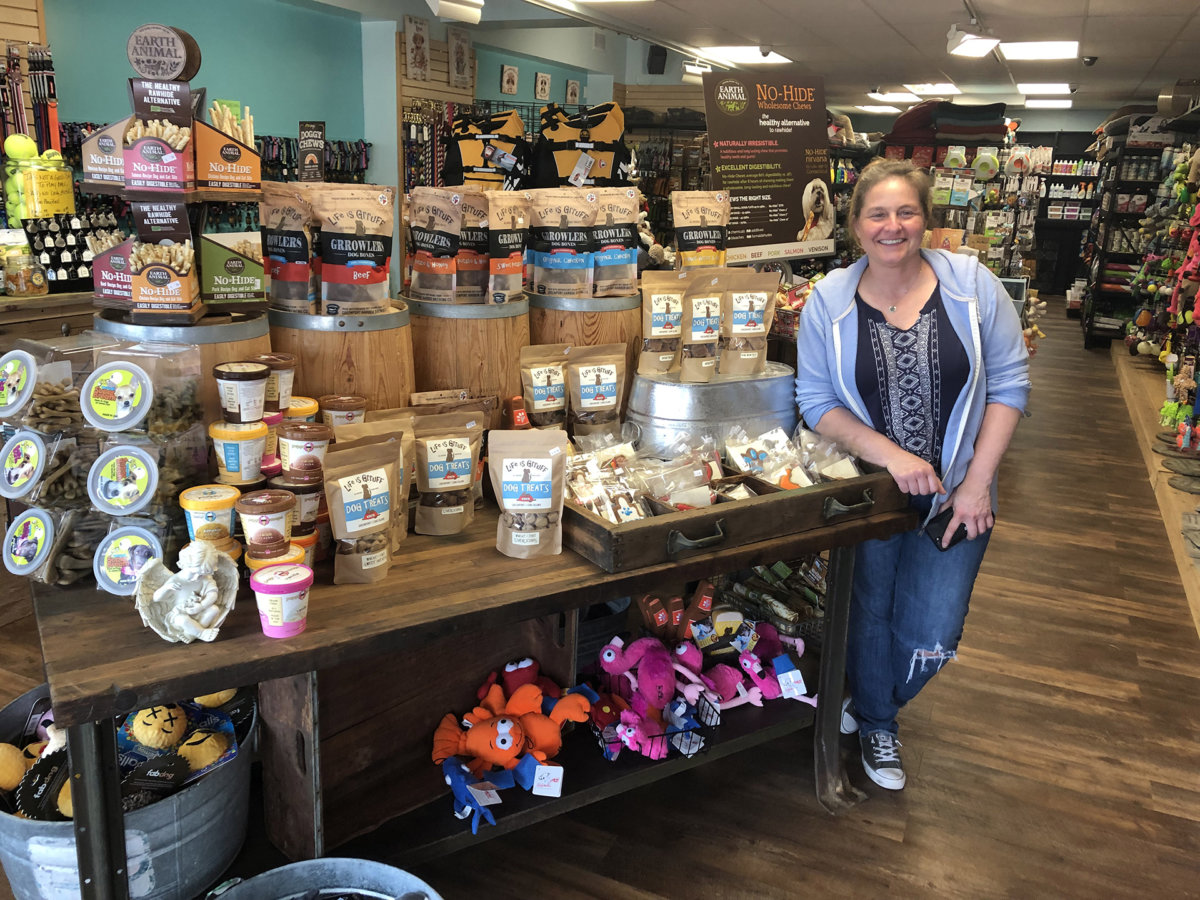 the doggie store outlet