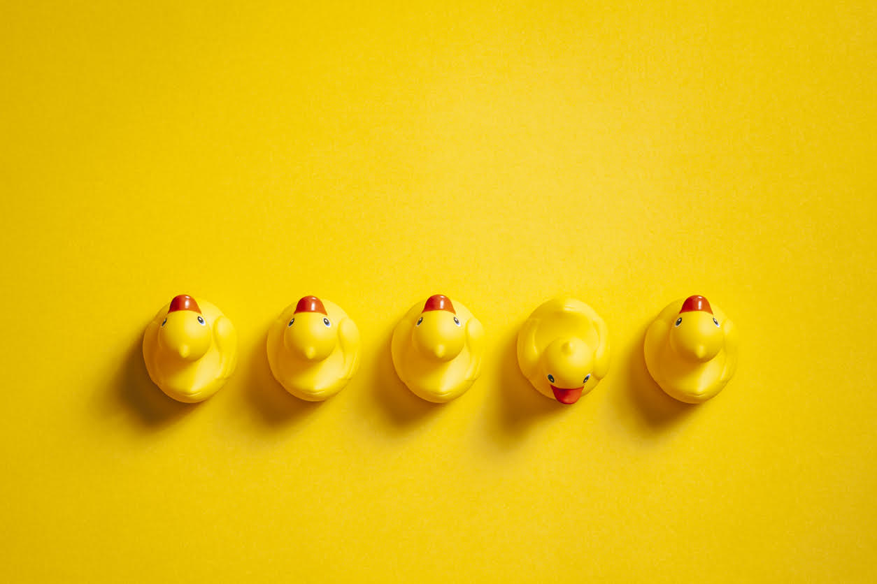 Directly above photography of rubber ducks on a yellow background.