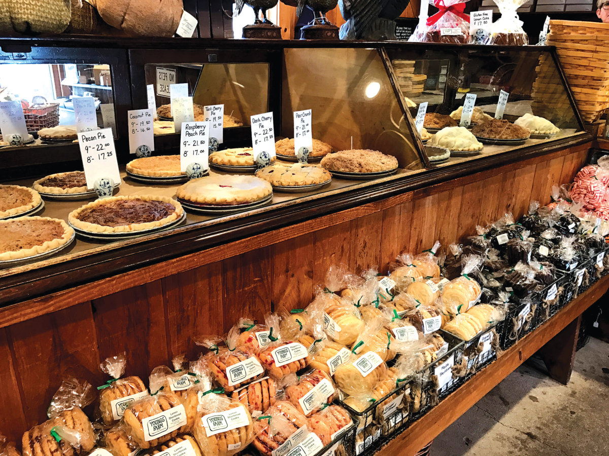 Youngs Farm Growing Dan’s Papers