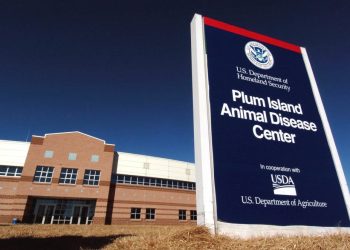 2004-02-16T120000Z_1330645186_RP4DRIHQRYAB_RTRMADP_3_SECURITY-PLUM-ISLAND-1-1024×663