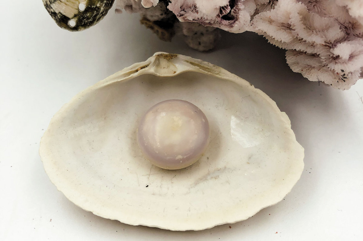 The giant pearl found at Gosman’s Fish Market.