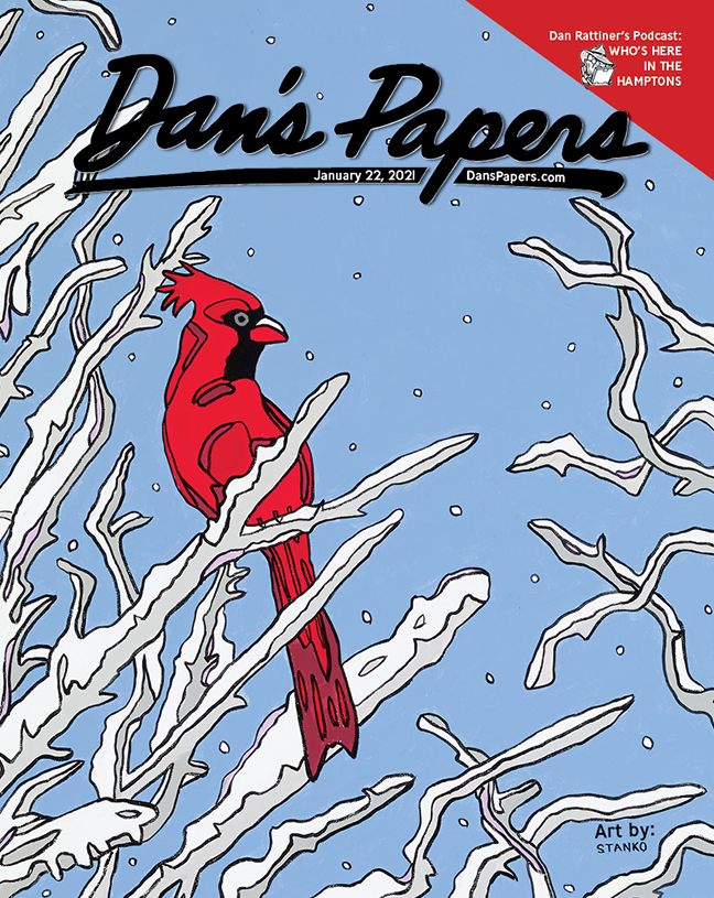 Mike Stanko's art on the cover of the January 22, 2021 Dan's Papers issue.