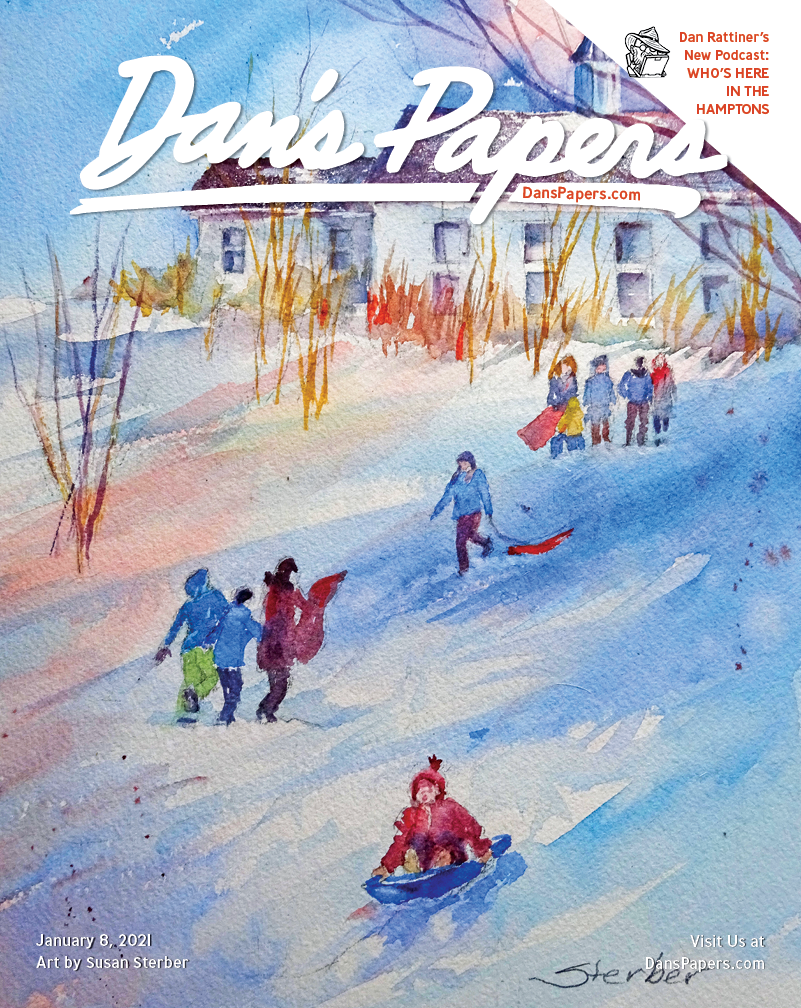 Susan Sterber's art on the cover of the January 8, 2021 Dan's Papers issue.