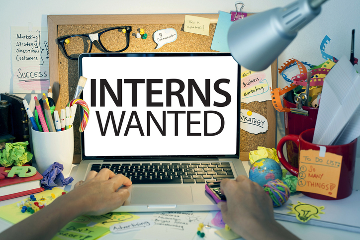 interns wanted