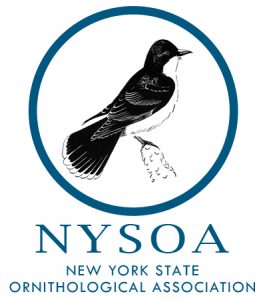 NYSOA-263×300