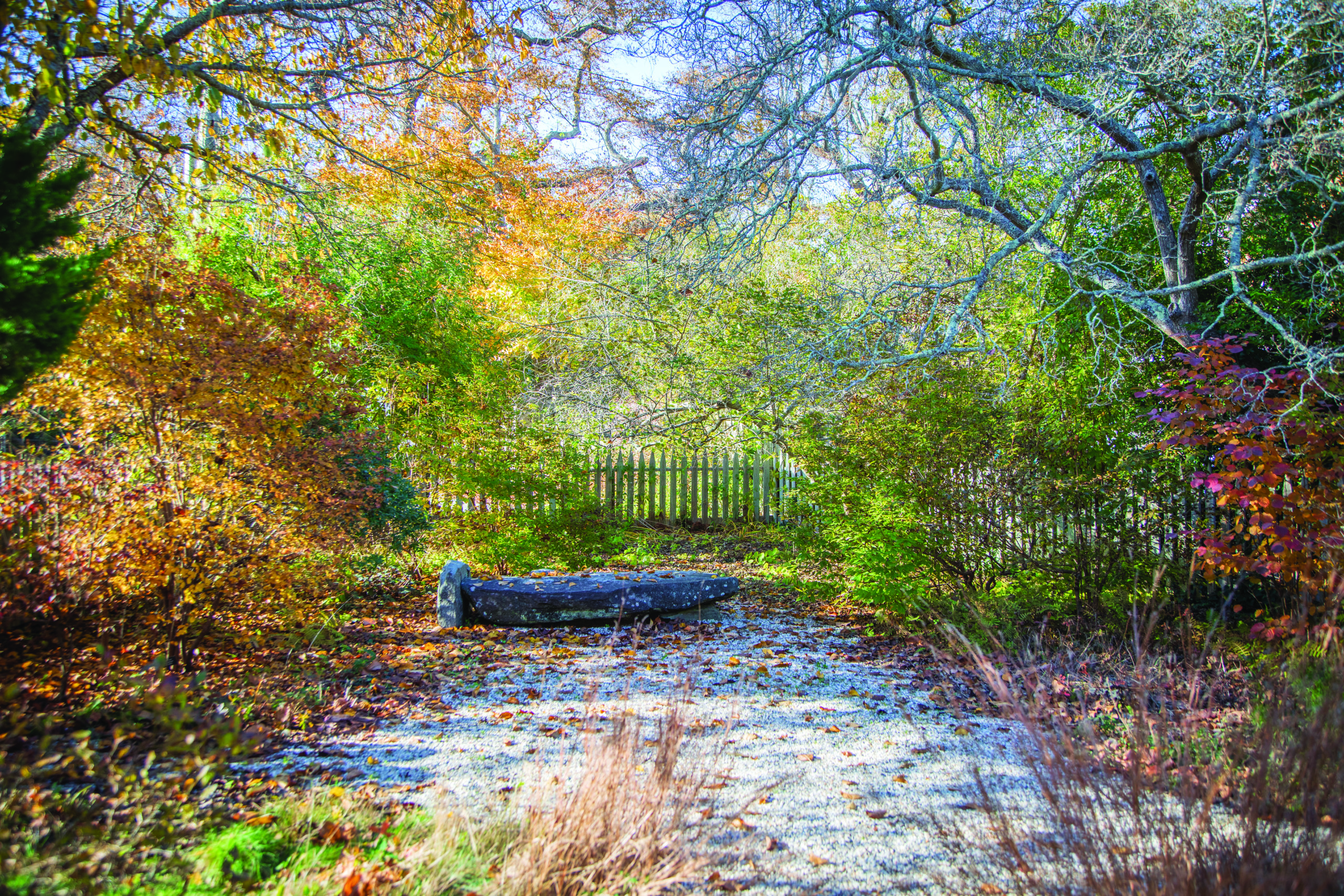 St. Luke’s Episcopal Church grounds in East Hampton