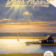 Daniel Pollera's art on the cover of the March 19, 2021 Dan's Papers issue.
