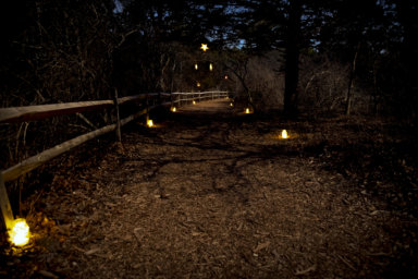 Quogue Wildlife Refuge looks extra magical during the Light the Night Walk.