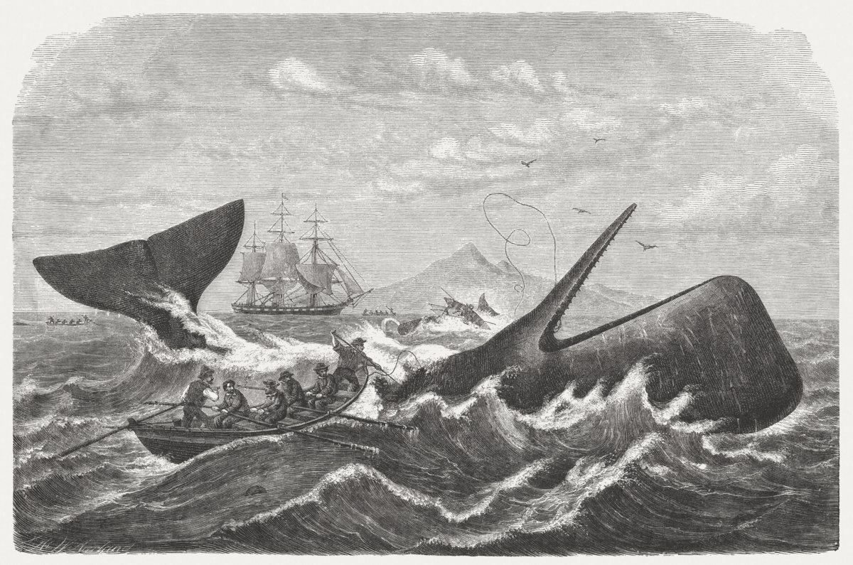 Whalers in action, wood engraving, published in 1869