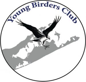 Young-Birders-Club-300×286
