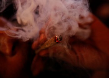 A man smokes a hybrid strain joint of cannabis at his home in New York