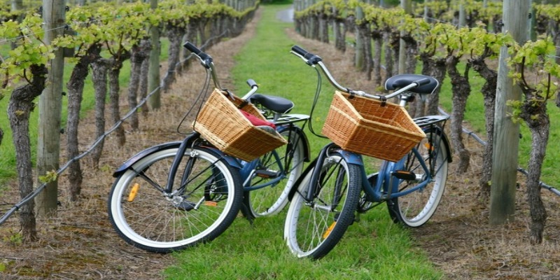 North Fork vineyard bike tour 