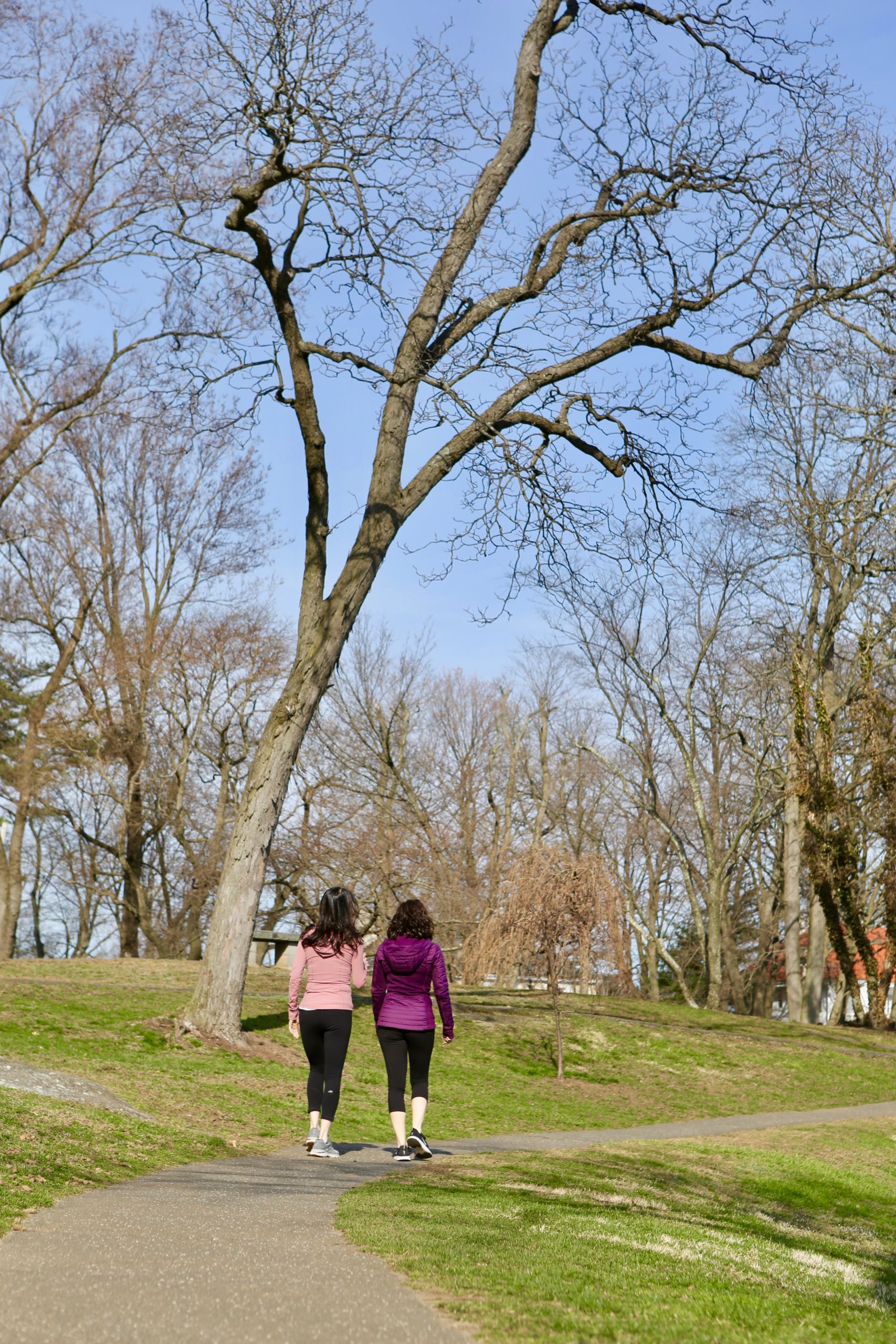 Walk and talk therapy is quickly proving to be an effective alternative to traditional therapy