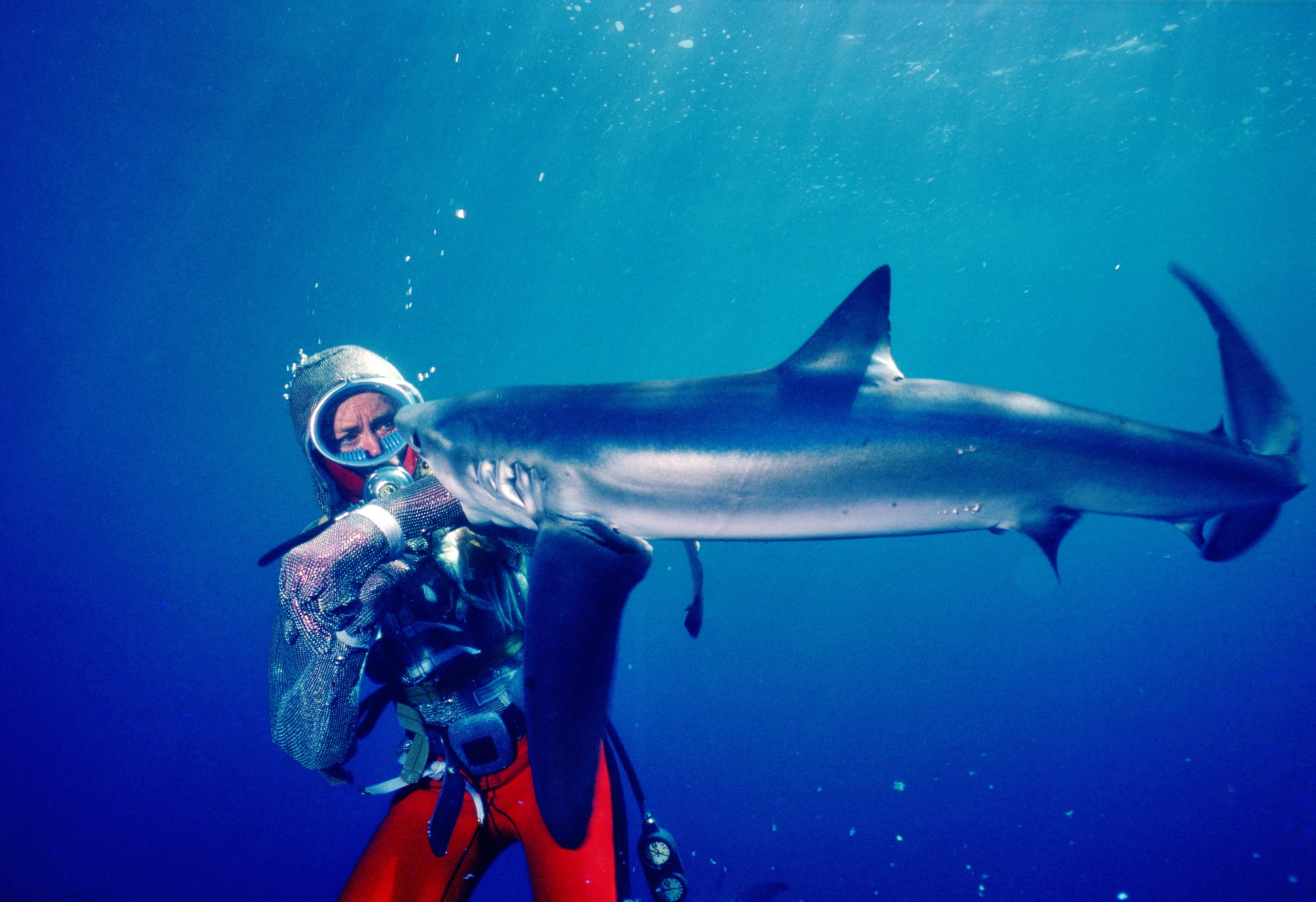 Film still of Valerie Taylor from “Playing With Sharks,” screening April 24 at Sag Harbor Cinema