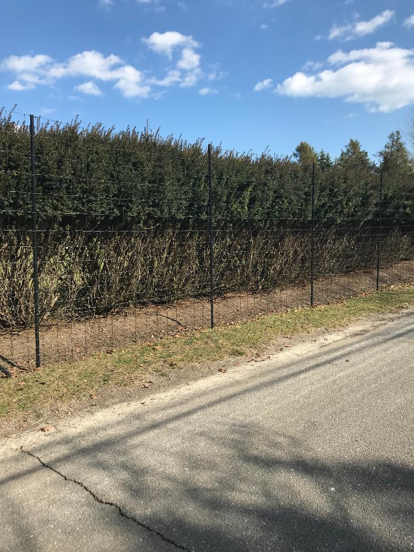 A deer fence from Craftsman Fence Corp.