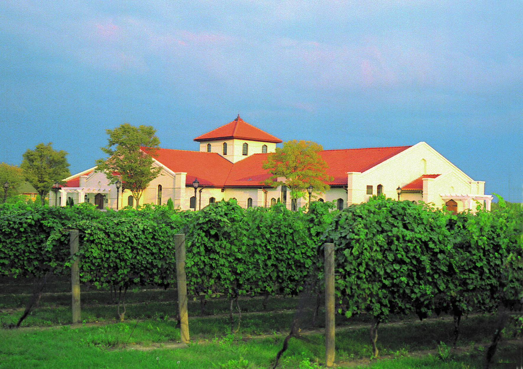 Raphael Winery