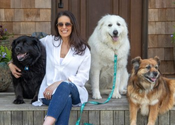 Gimme Shelter founder Michelle Montak with her dogs