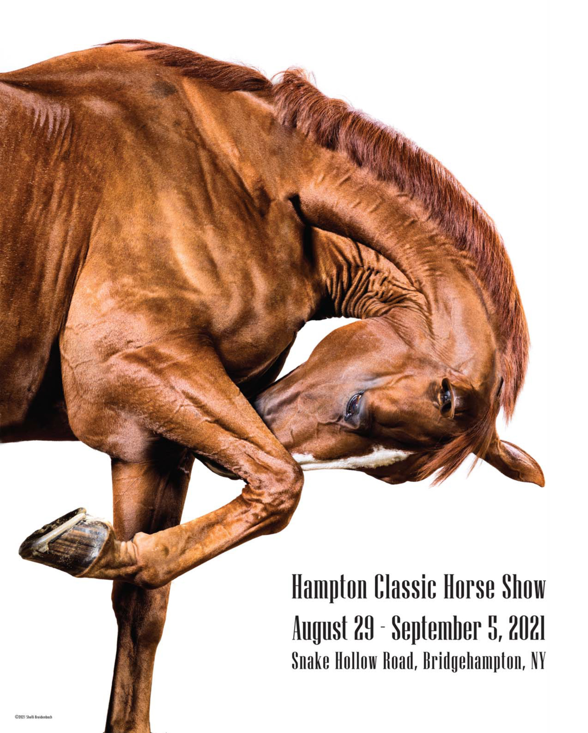 2021 Hampton Classic Horse Show poster by Shelli Breidenbach