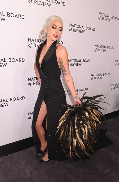 Lady Gaga at the National Board of Review in Manhattan in 2018 by Rob Rich