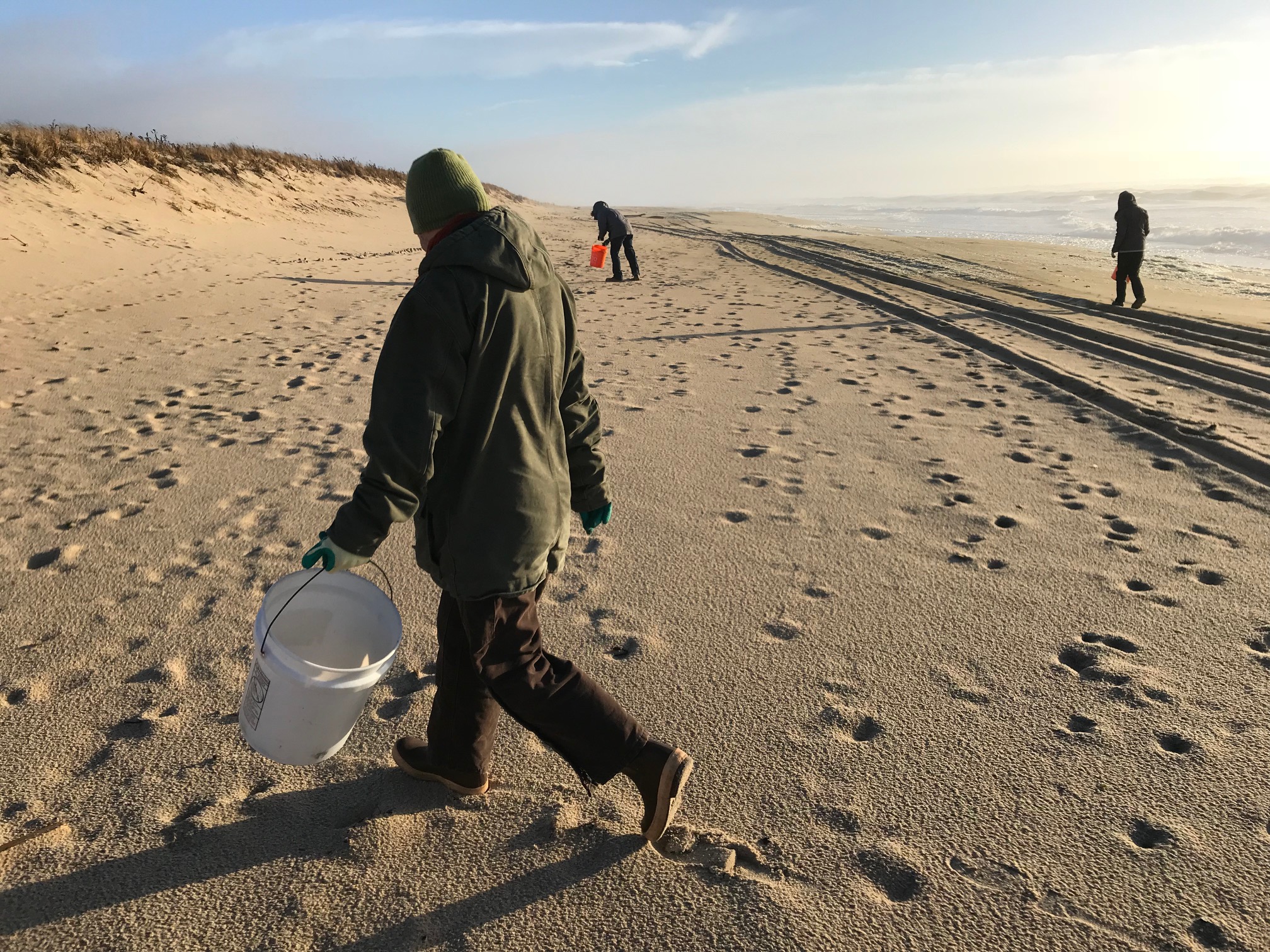 Beach Cleanup