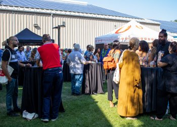 The Hamptons Cannabis Expo
