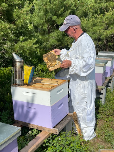 Chris Kelly and his bees at the East Hampton Airport beekeeping project