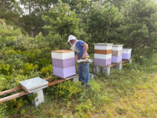 Chris Kelly and his East Hampton Airport beekeeping project