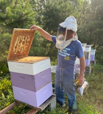 Chris Kelly and his bees at the East Hampton Airport beekeeping project