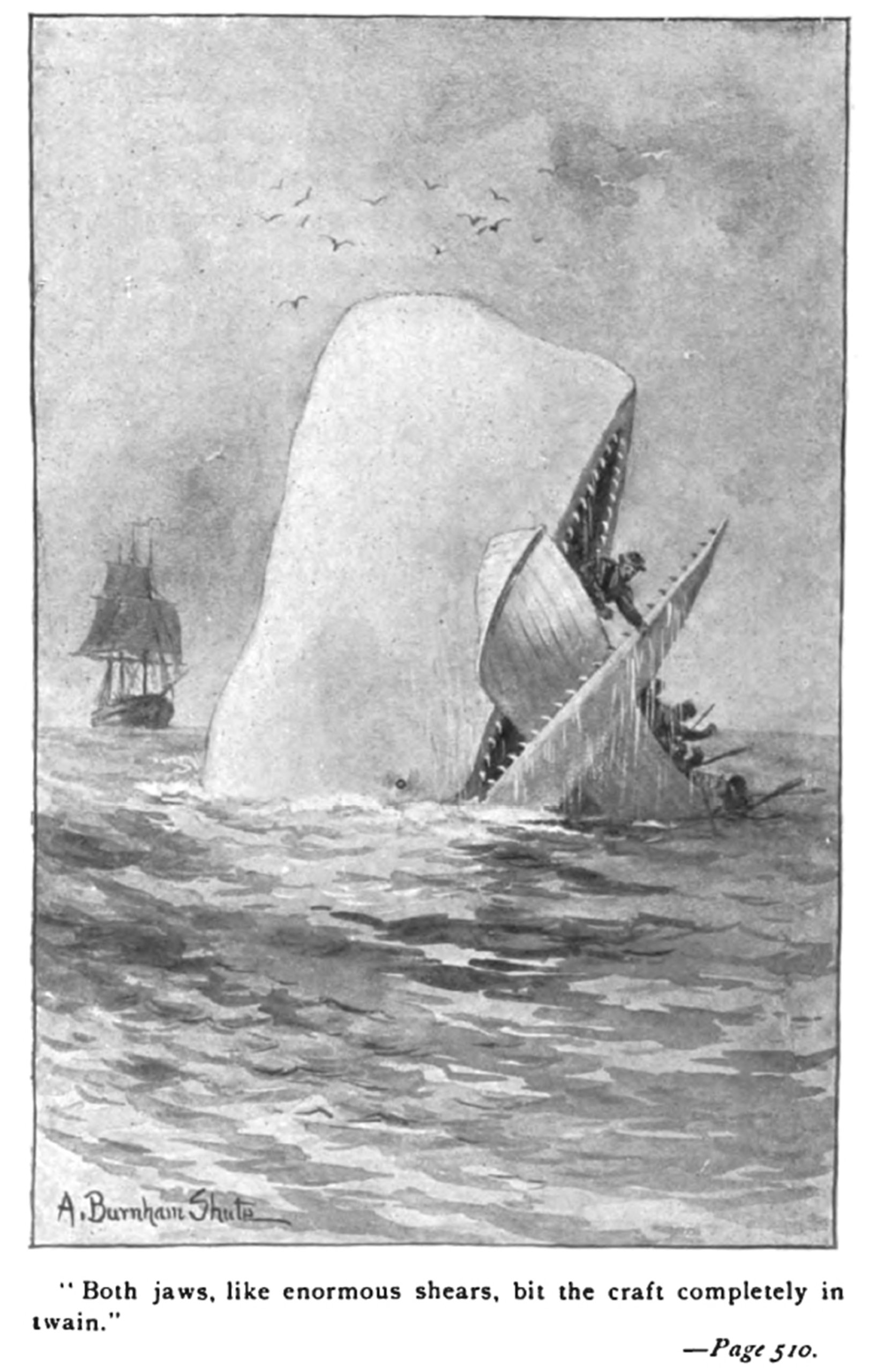 A page out of "Moby Dick"