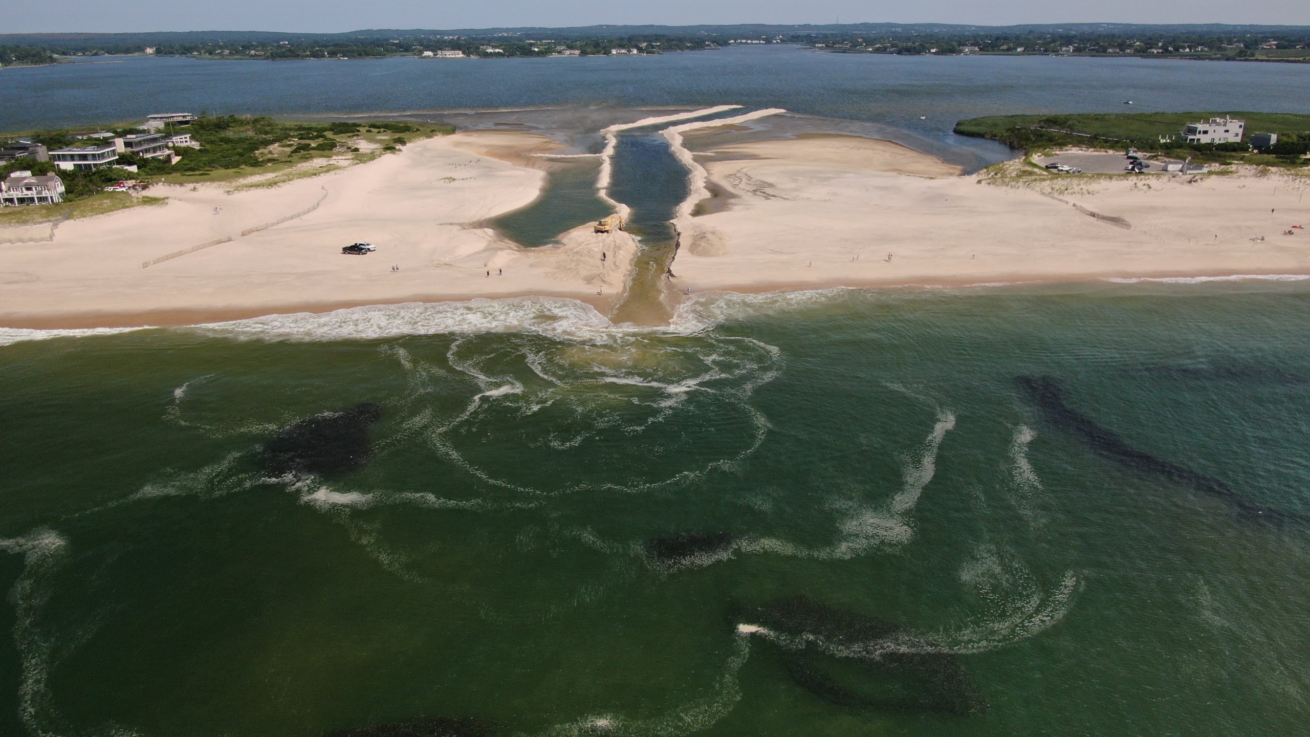 Menhaden schools from above at the cut