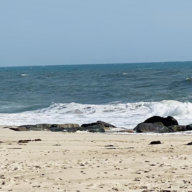 I prayed for forgiveness of my sins as I symbolically threw bread crumbs in the ocean in front of the Westhampton House.