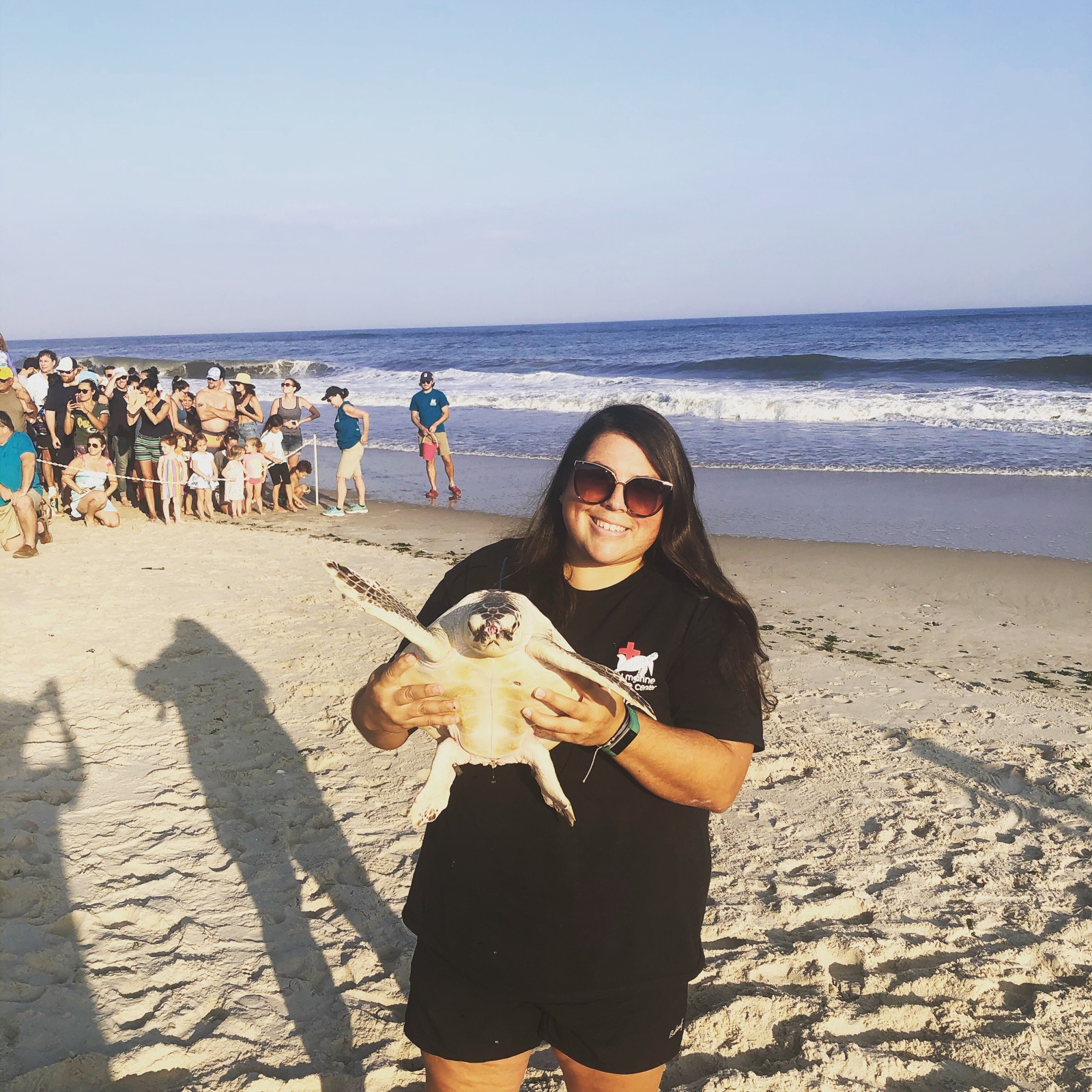 NYMRC director Maxine Montello brings a rescued Kemp's ridley sea turtle home