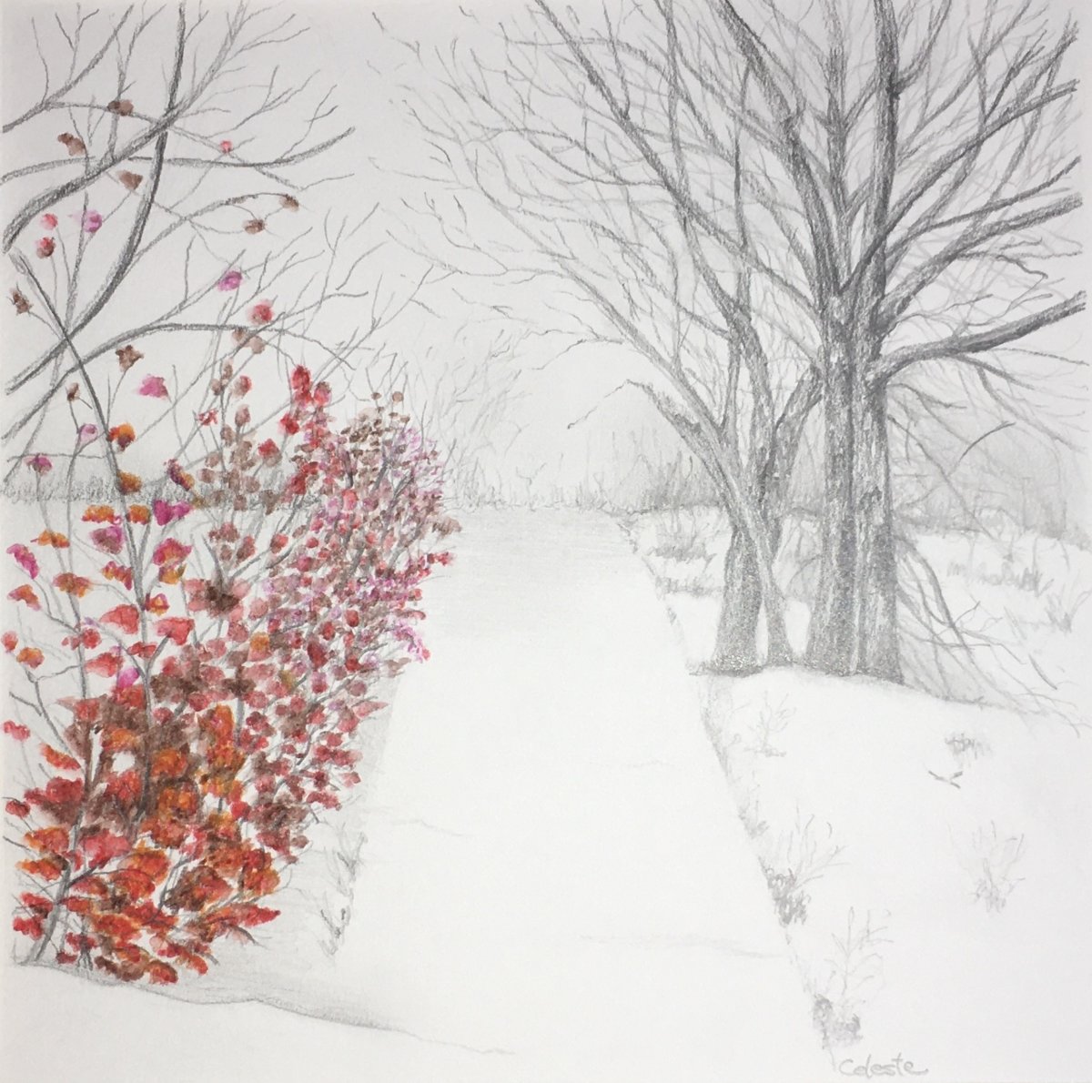 "A Winters Path" by Celeste Simonelli, Graphite and Pencil