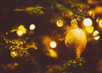Christmas, Festival, Decoration, Joy - Beautifully decorated Christmas Tree and Golden Colored Ornate in Palm Beach