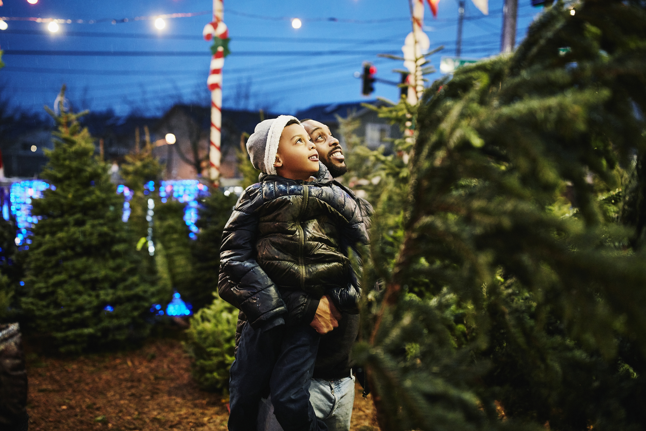 There's something so Christmas-y about taking the family to pick out this year's Christmas tree.