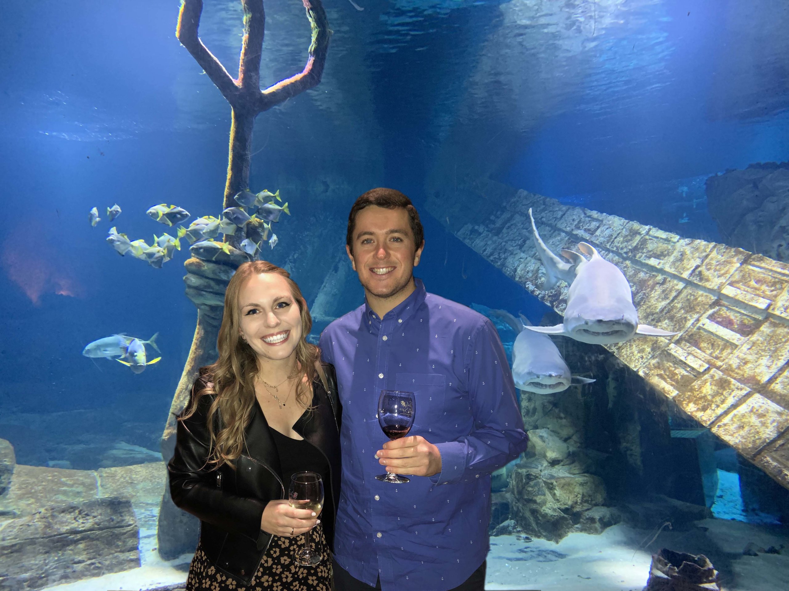 Jess and Matt enjoy Fish and Sips as a resident shark looks on at Long Island Aquarium