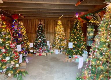 North Fork Festival of Trees at Treiber Farms,