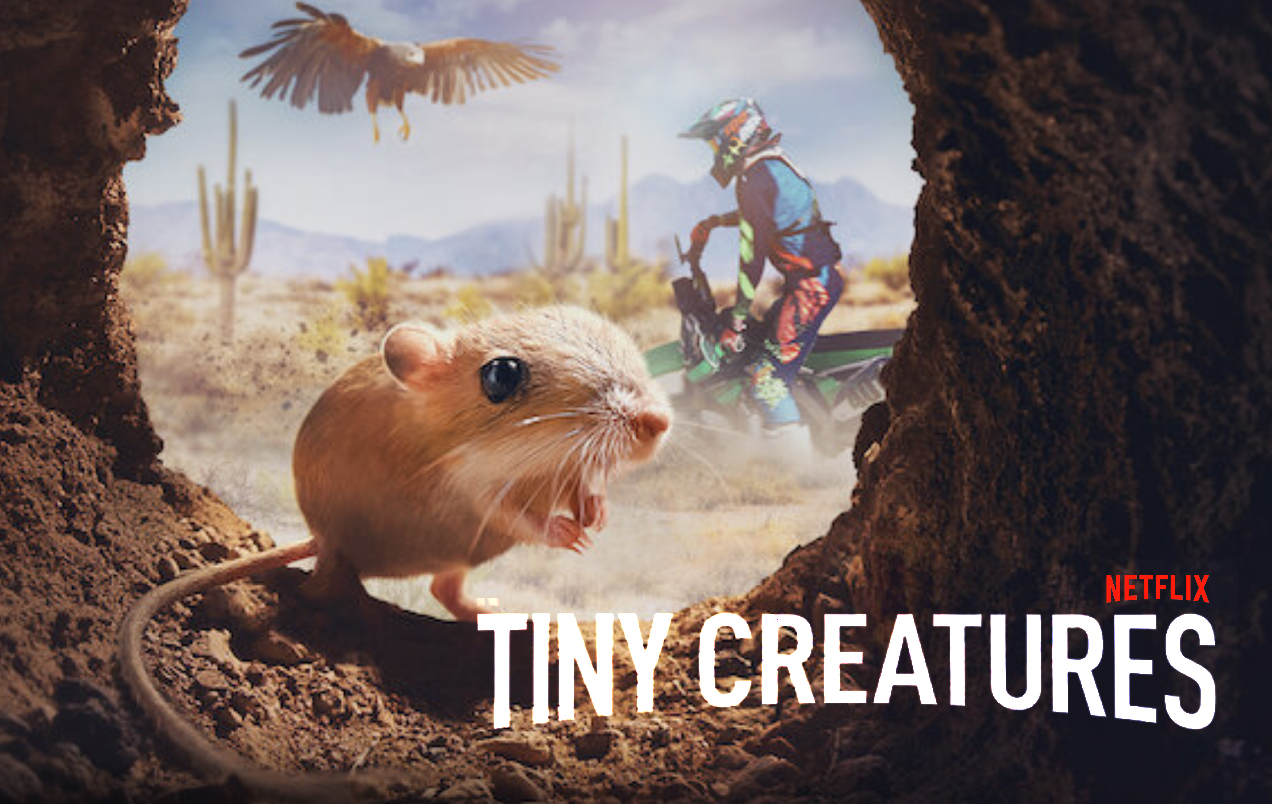 "Tiny Creatures"