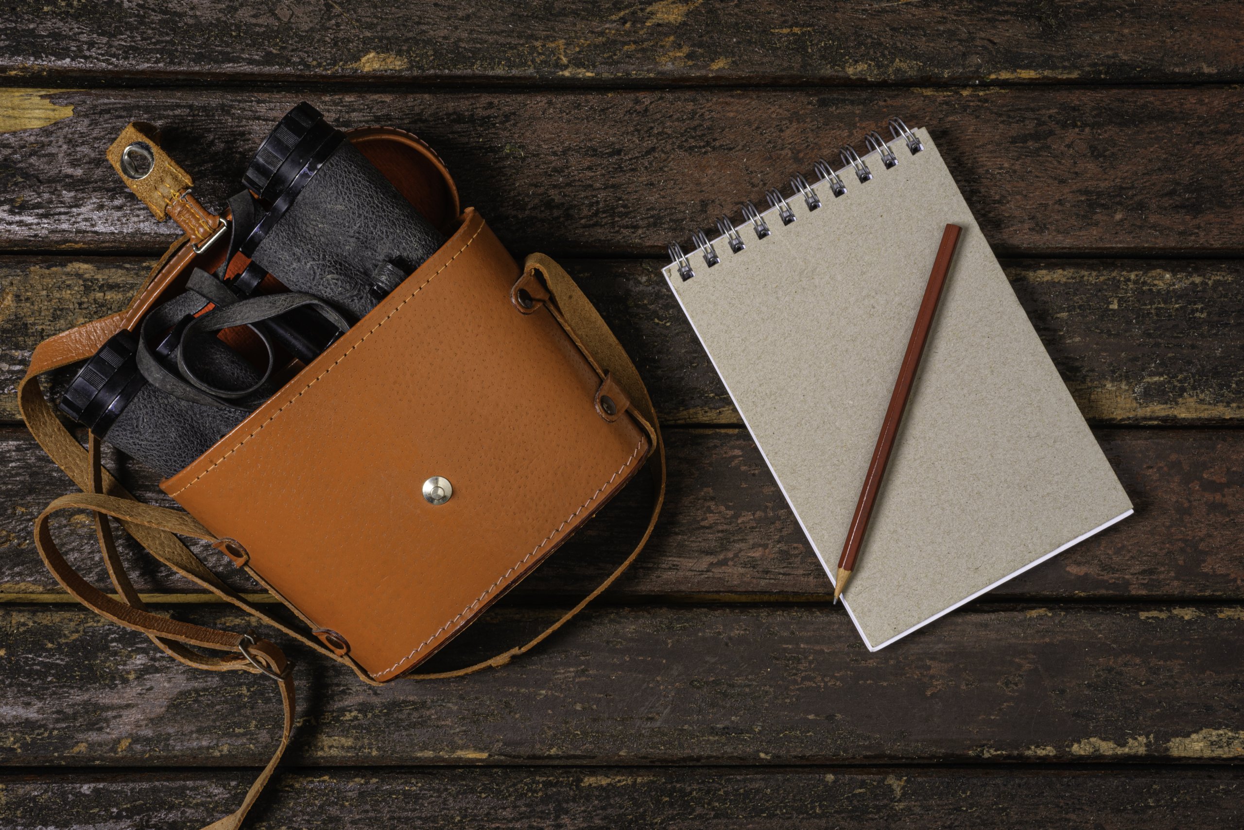 Above view of bird watchers binoculars and notebook over rustic wood