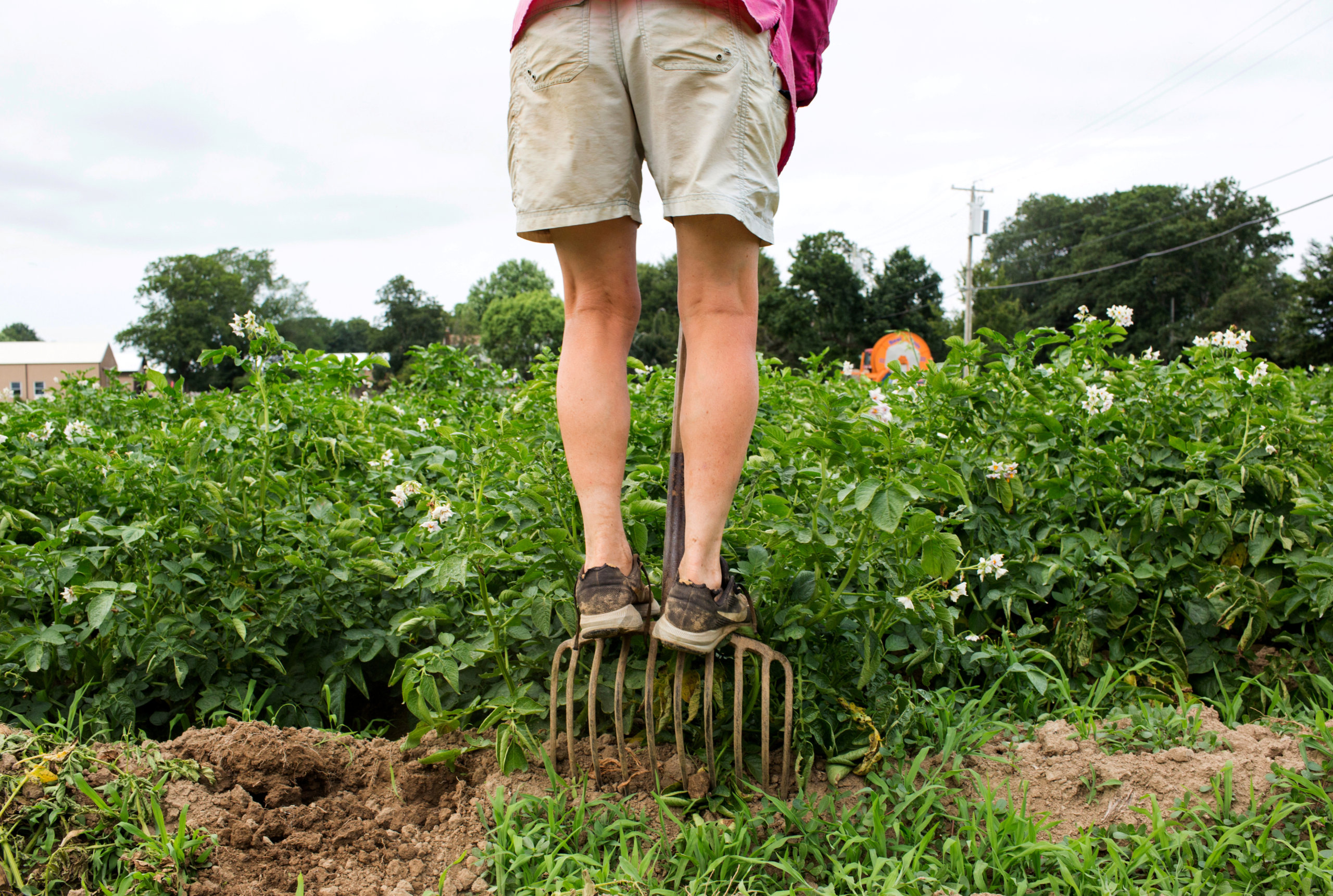 Marilee Foster of Foster Farm