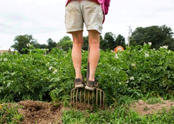 Marilee Foster of Foster Farm