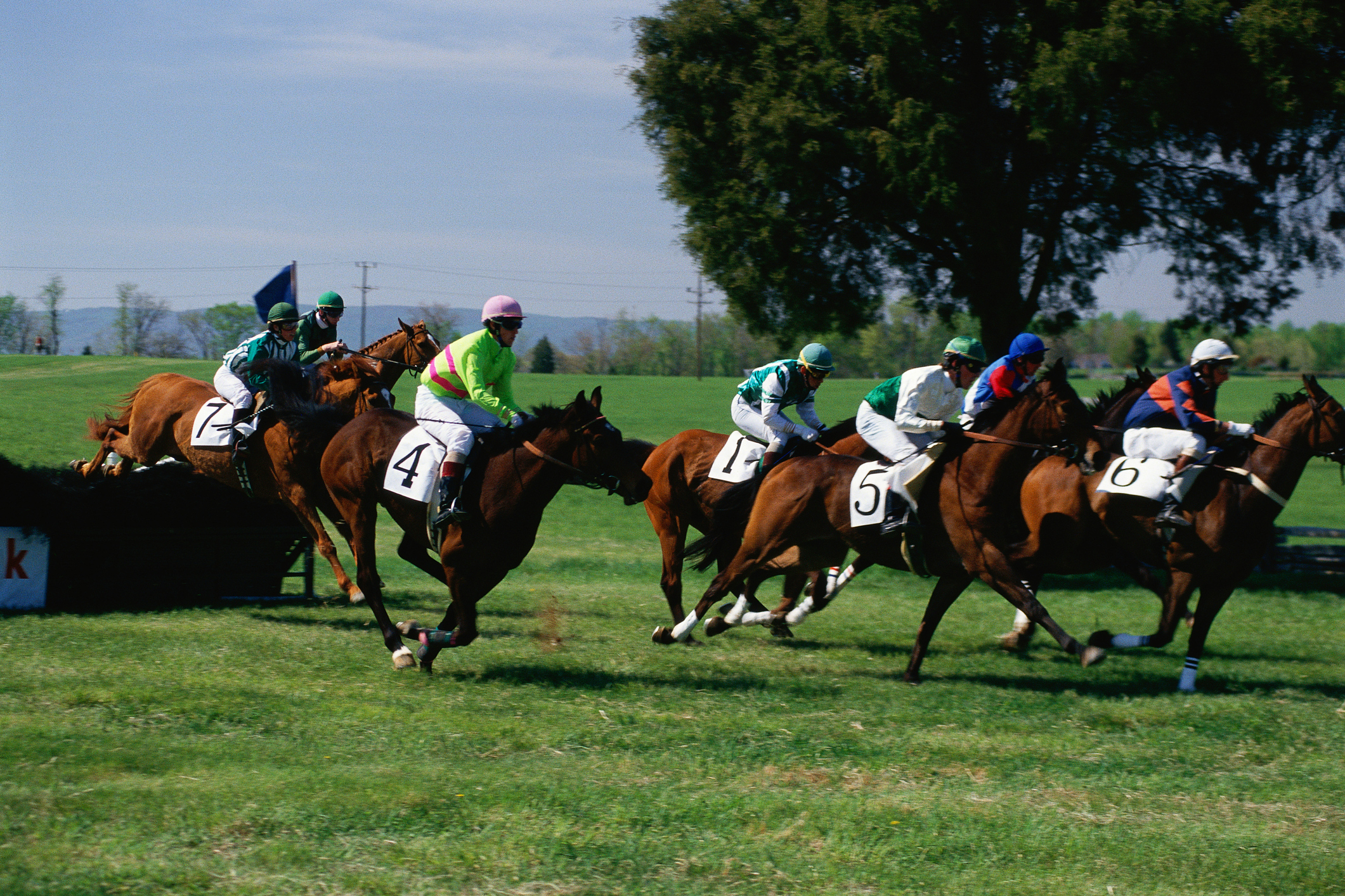 Get ready for some intense polo competition in Palm Beach