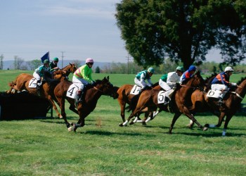 Get ready for some intense polo competition in Palm Beach