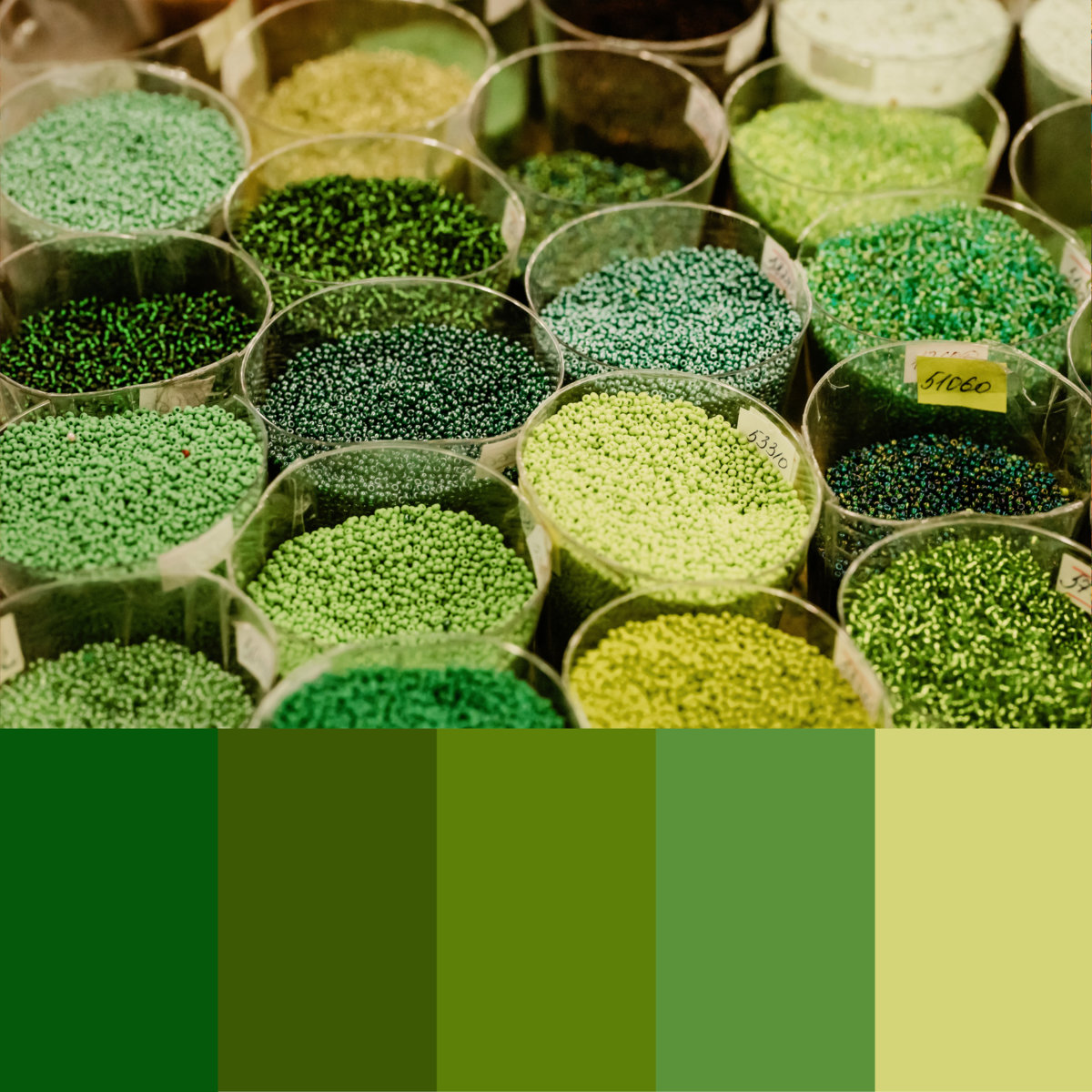 Kids can learn about the many shades of green in honor of St. Paddy's Day