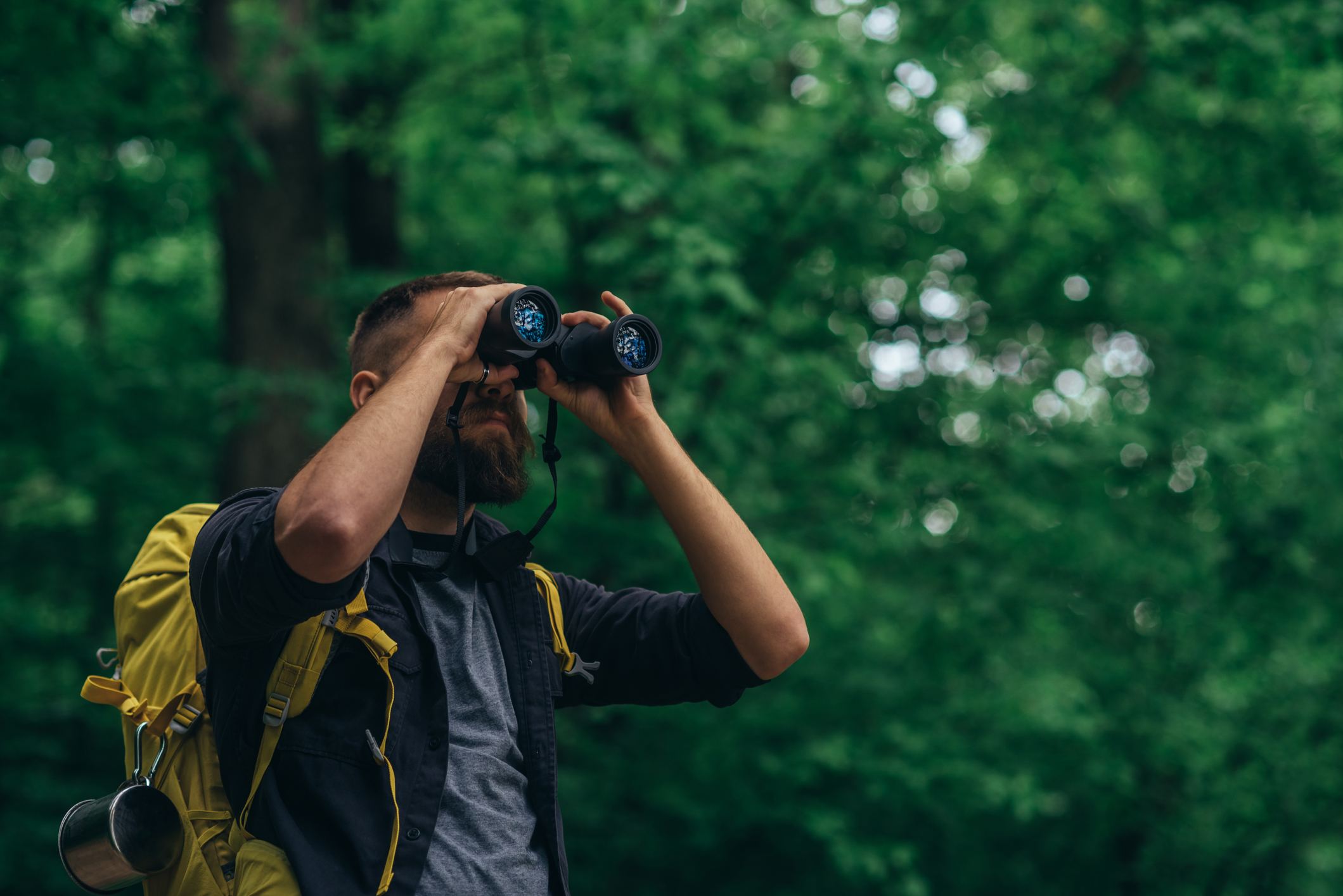 Go out for a hike while on the lookout for lingering winter birds.