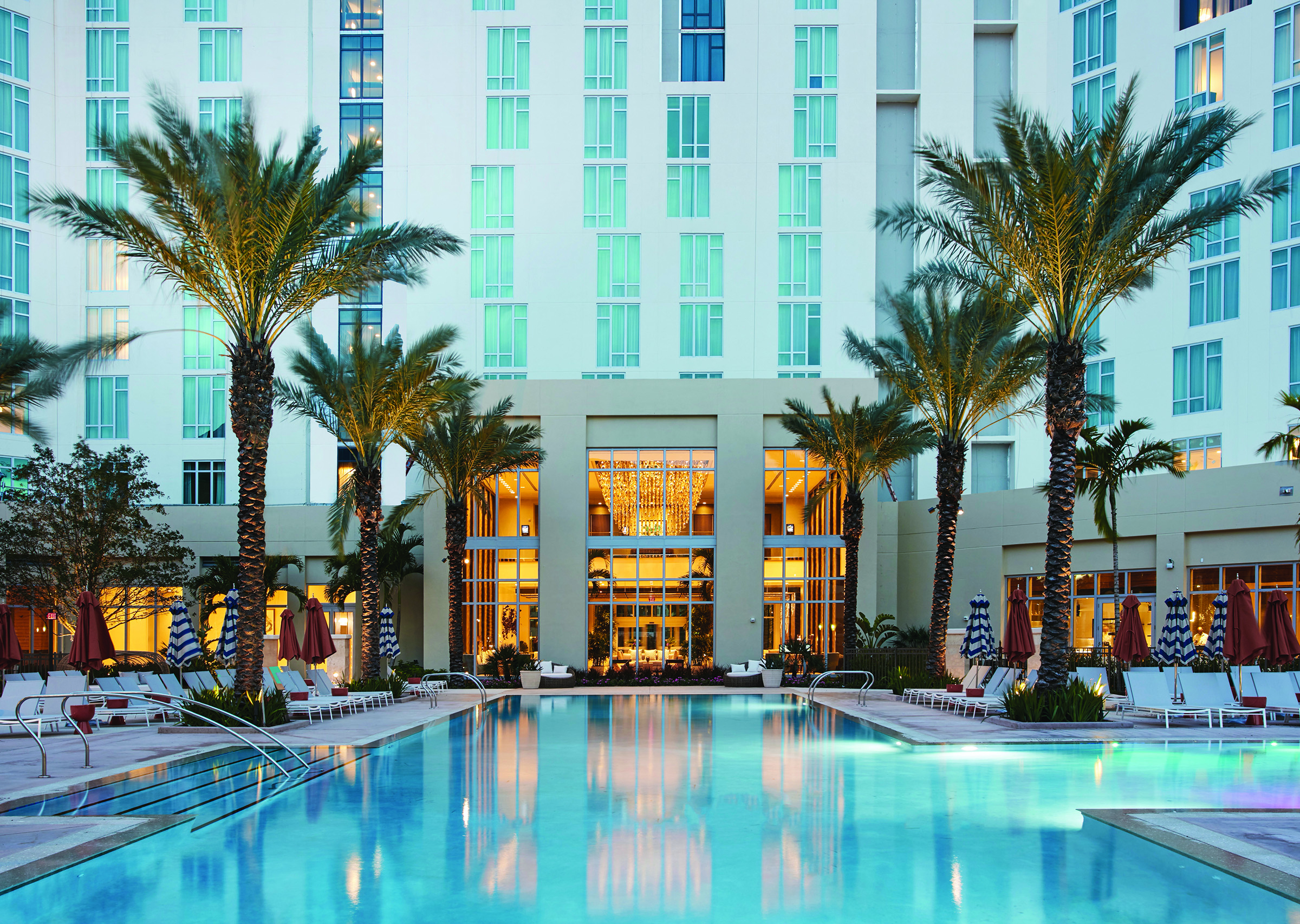 The Hilton West Palm pool surrounded by palm trees