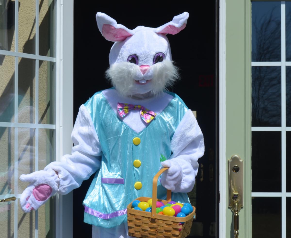 The Easter Bunny at Southampton Inn