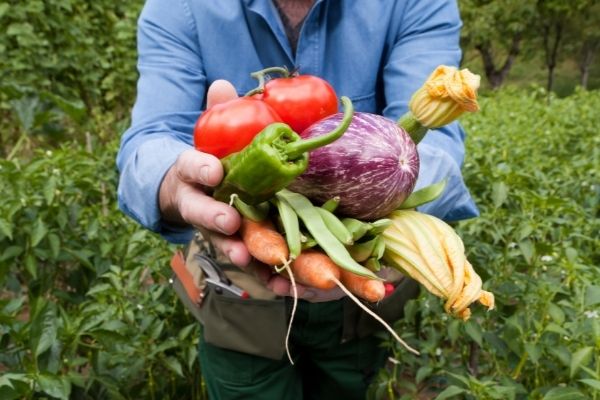 When you live this close to bucolic farmland, organic cuisine is a must-have.